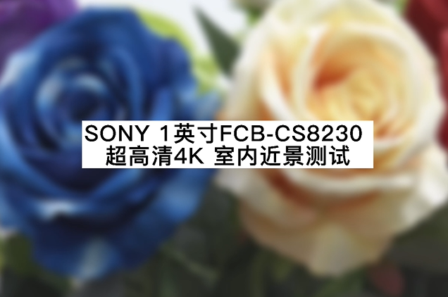 Sony 1-inch fcb-cs8230 Ultra HD 4K indoor close range test